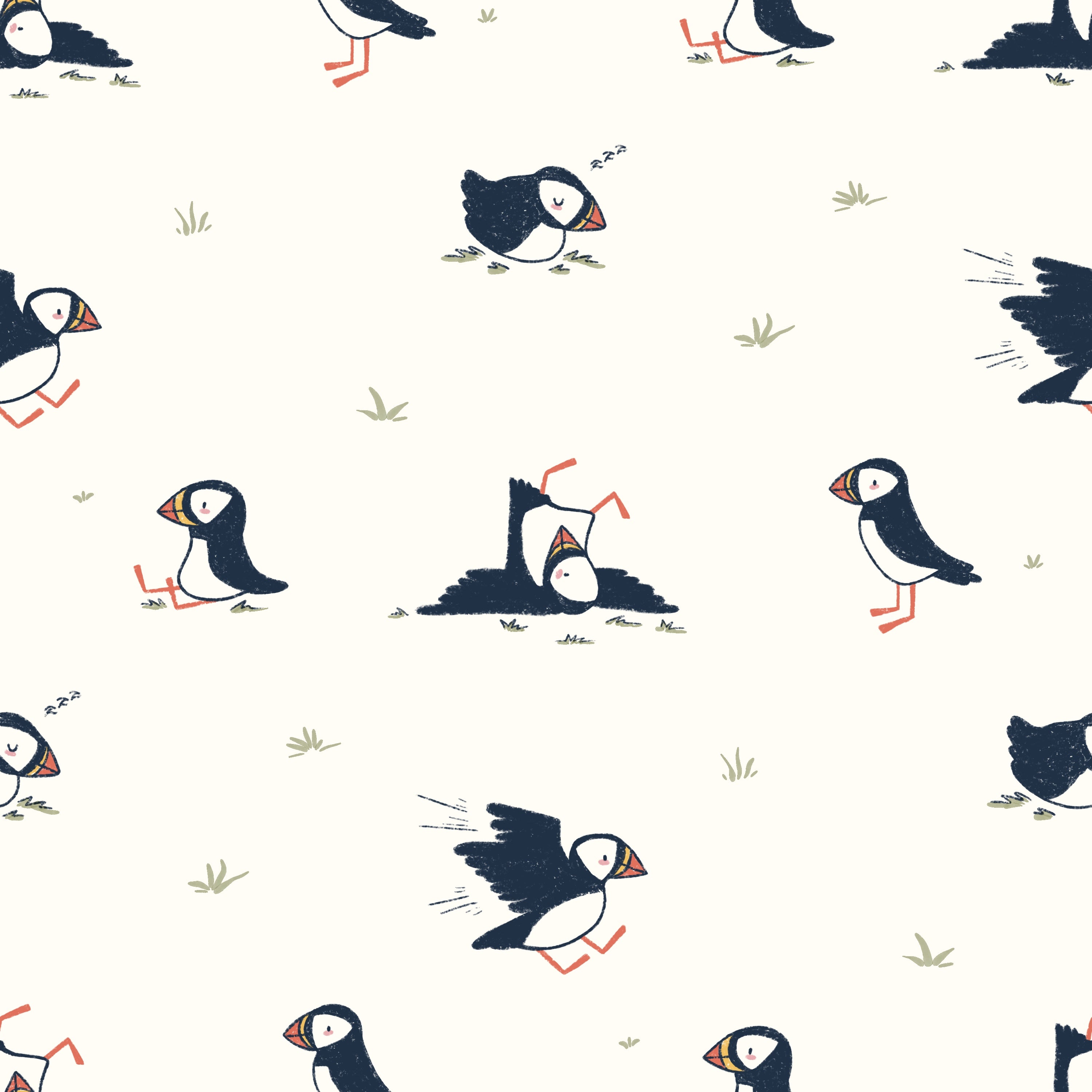 Puffin
